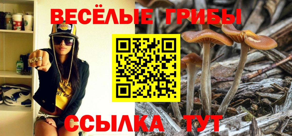 Псилоцибиновые грибы ЛСД  Вход с VPN  Димитровград  Галлюциногенные грибы Magic Shrooms 