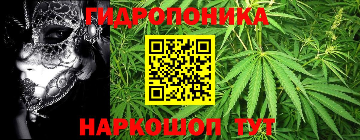 Шишки марихуана семена Димитровград