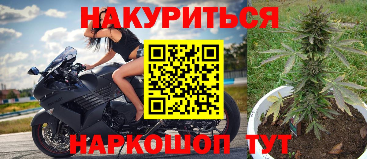 Димитровград  Бошки Шишки конопля  Бошки Шишки MAZAR  Вход с VPN 